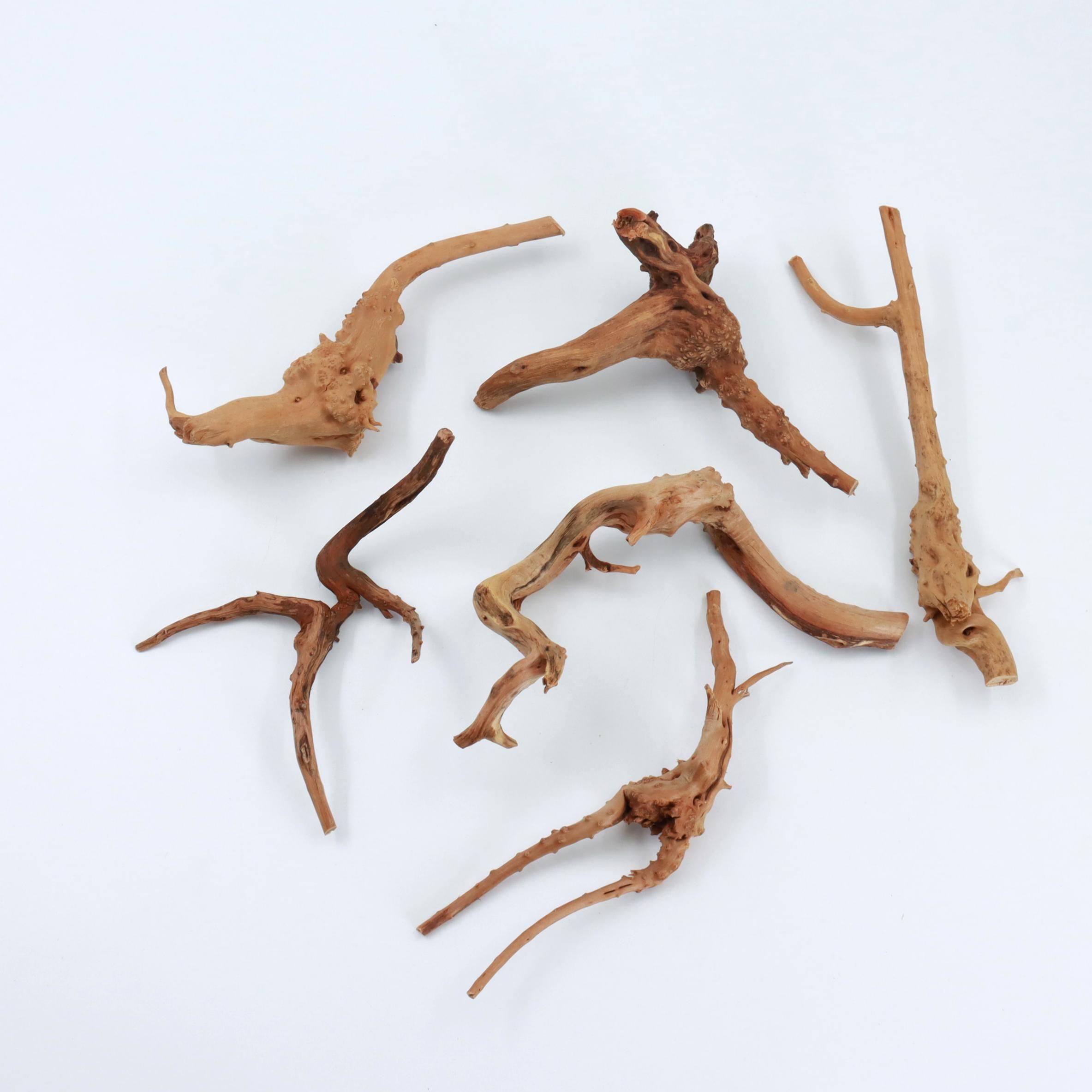 2 piezas de madera de araña na - Planted Aquarium With Driftwood reseña y precio