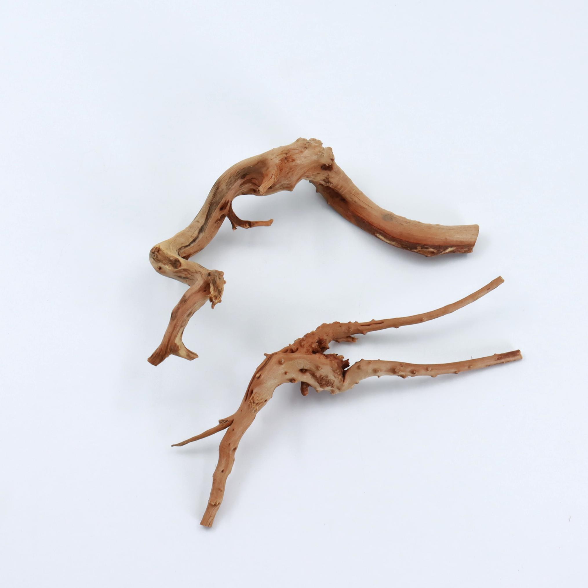 2 piezas de madera de araña na - Planted Aquarium With Driftwood reseña y precio