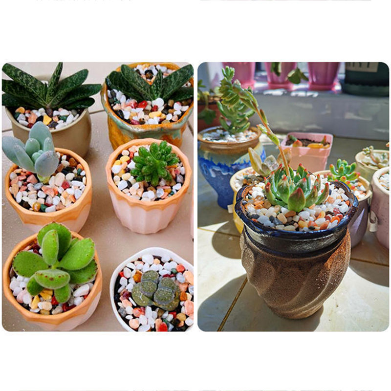 Piedra de grava natural, 200 ~ - Planted Aquarium With Sand reseña y precio
