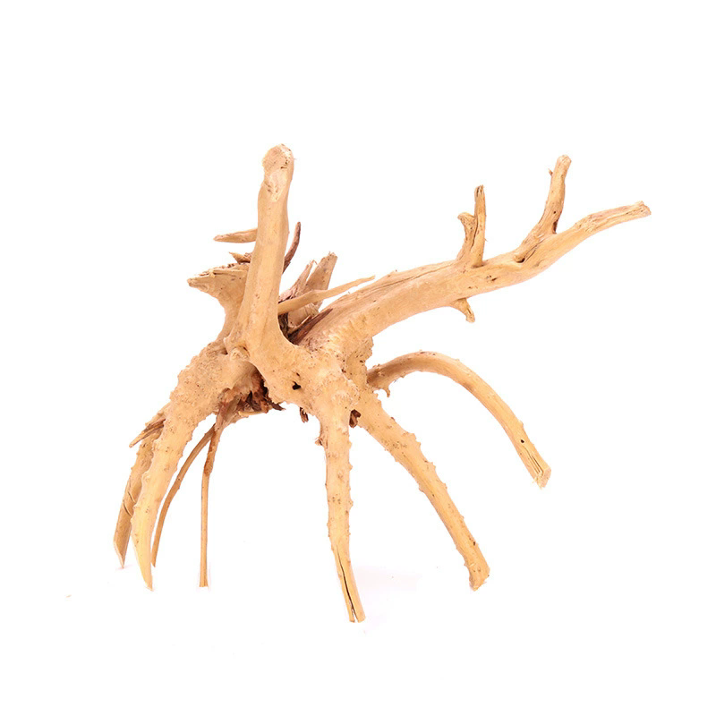 4 Piezas de Decoración Natural - Planted Aquarium With Driftwood reseña y precio