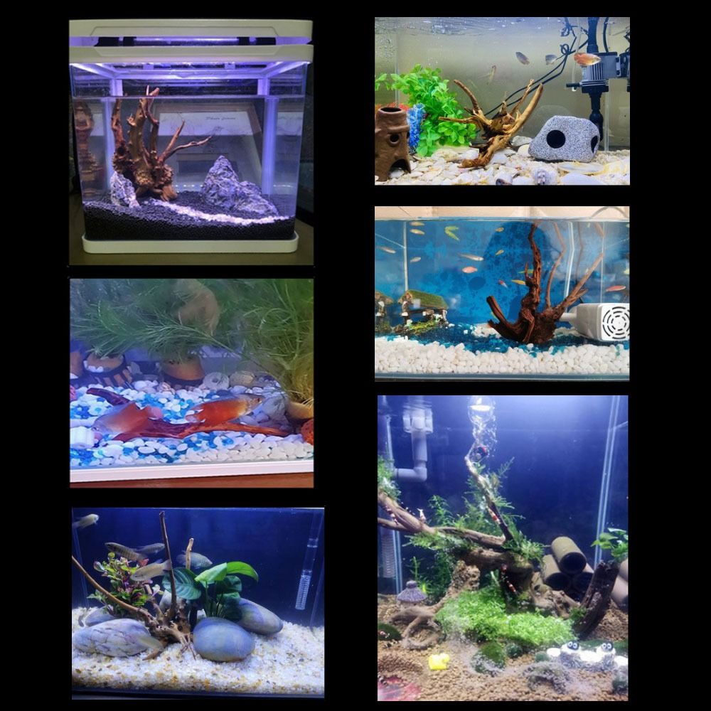 Tronco de Madera Natural para  - Planted Aquarium With Driftwood reseña y precio