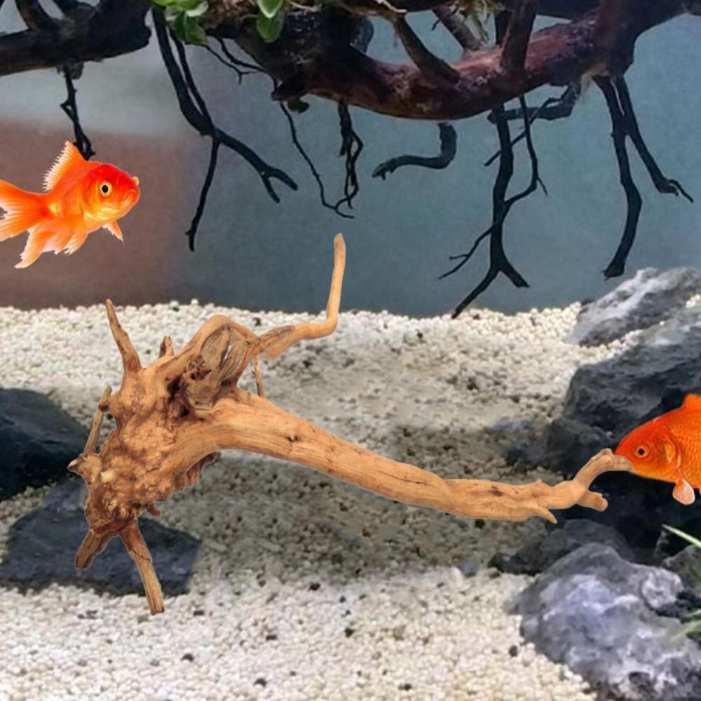 Tronco de Madera Natural para  - Planted Aquarium With Driftwood reseña y precio