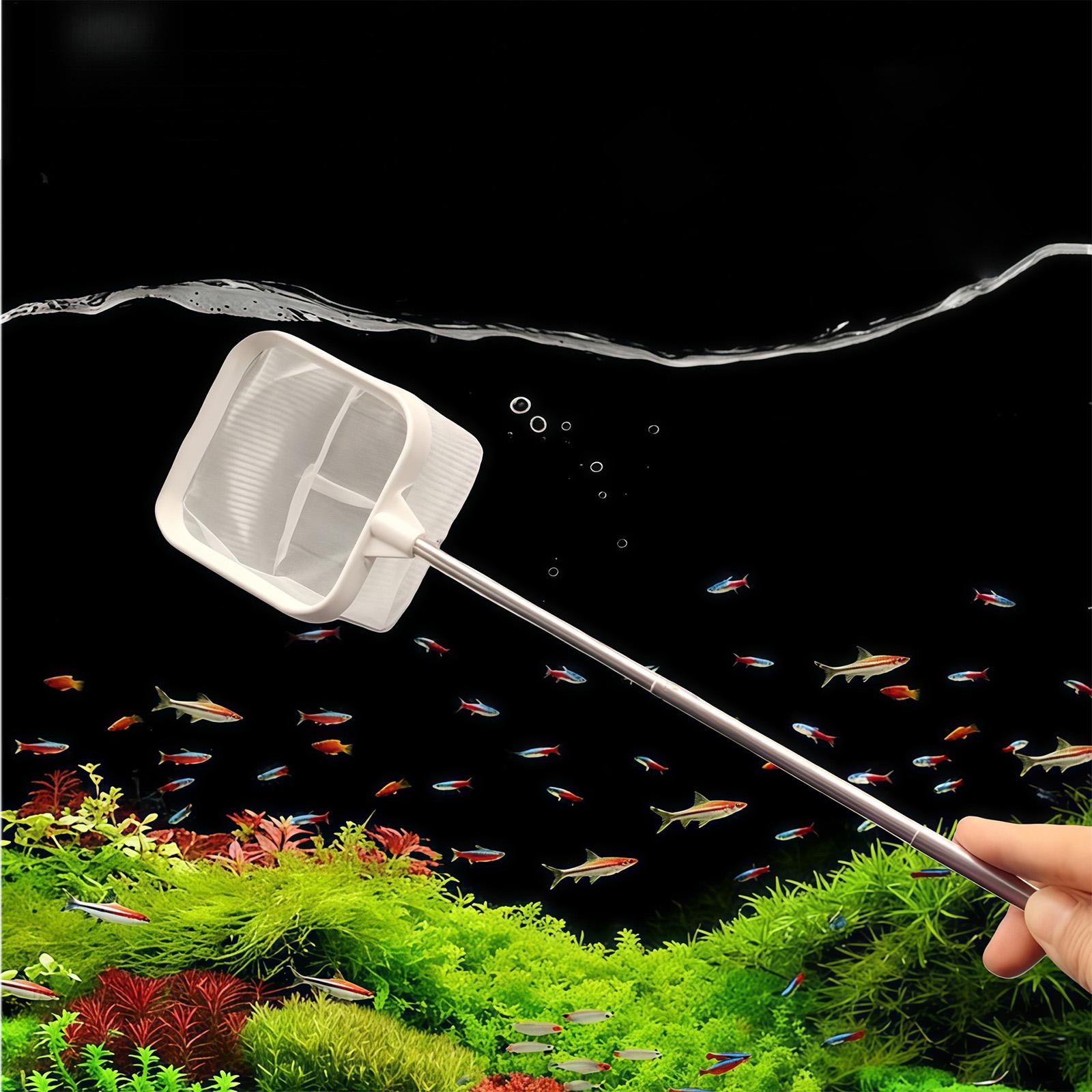 Recogedor de Hojas para Acuari - Aquarium Planted Tree reseña y precio