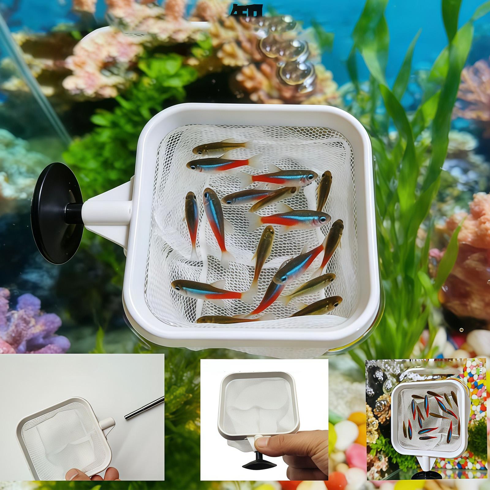 Recogedor de Hojas para Acuari - Aquarium Planted Tree reseña y precio