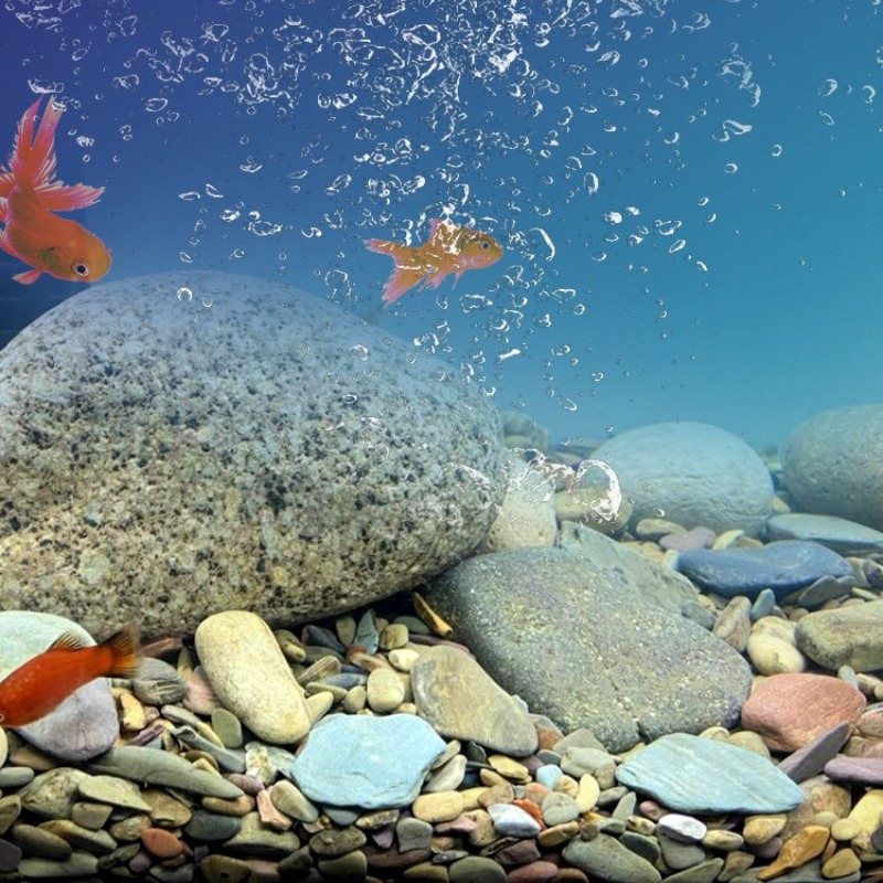 Piedras de Río para Acuario, A - Planted Aquarium With Sand reseña y precio