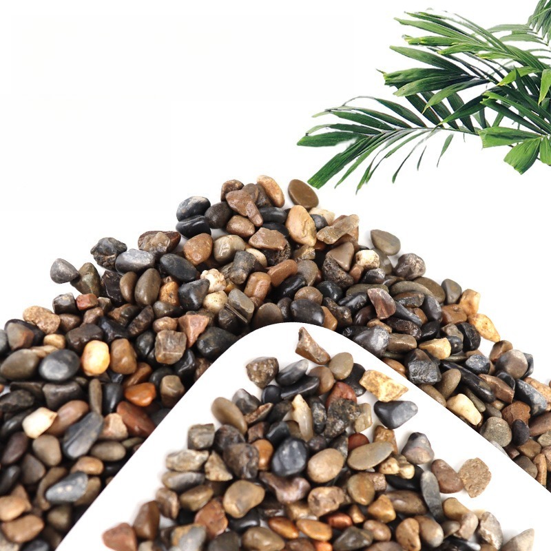 Piedras de Río para Acuario, A - Planted Aquarium With Sand reseña y precio