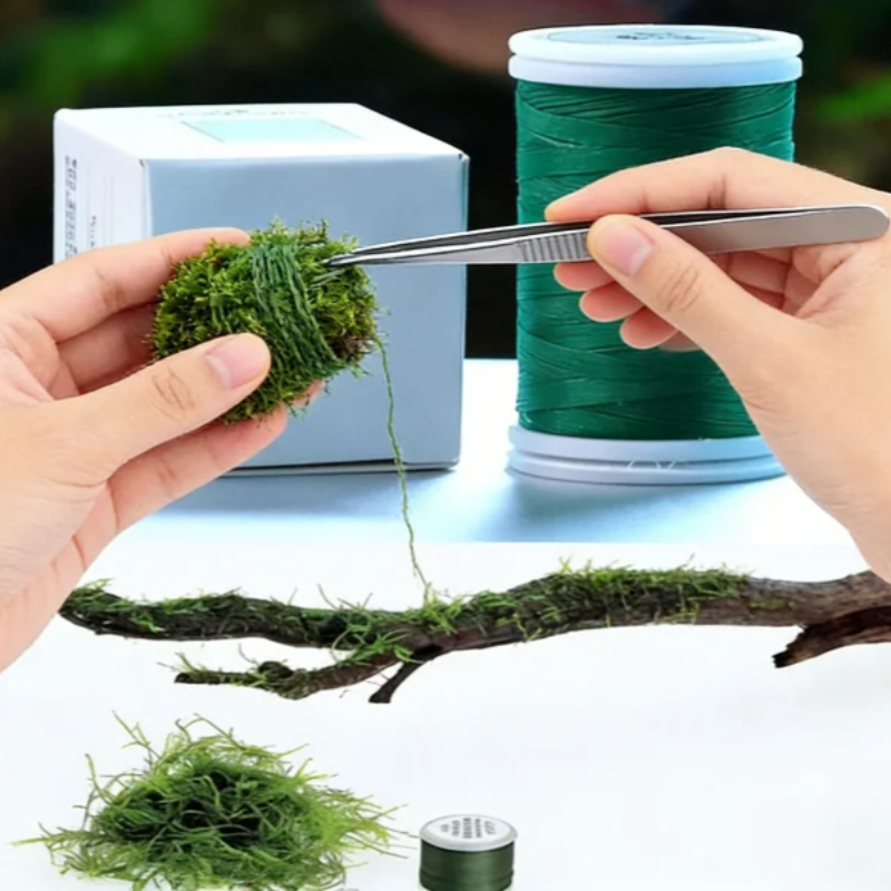 Hilo de Musgo Biodegradable pa - Planted Aquarium With Driftwood reseña y precio