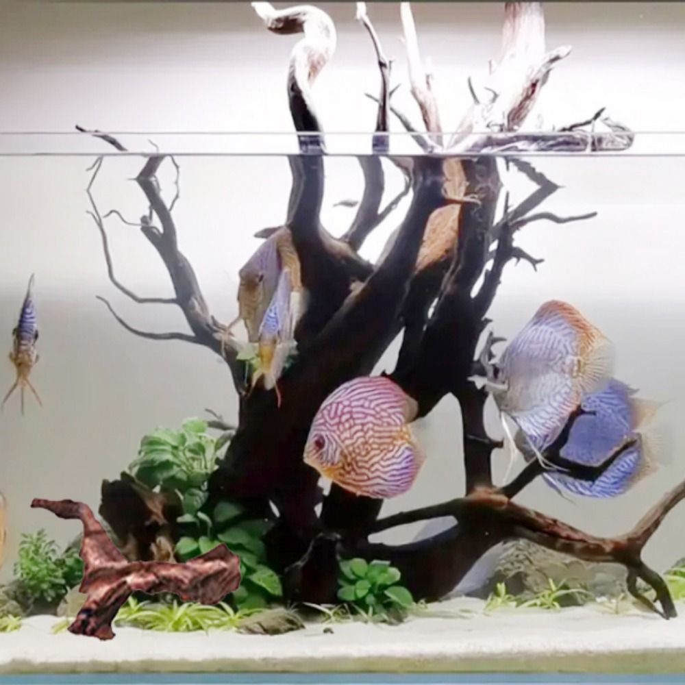 Tronco de Madera Natural de Co - Aquarium Planted Tree reseña y precio