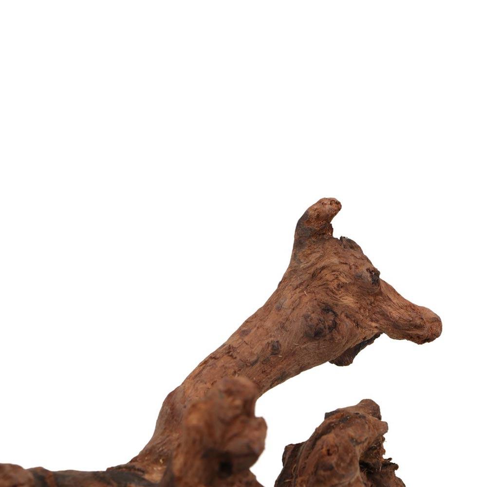 Tronco de Madera Natural de Co - Aquarium Planted Tree reseña y precio