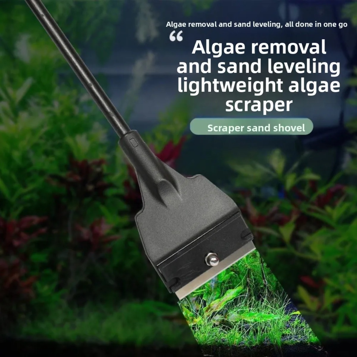 Raspador de algas para pecera, - Planted Aquarium With Sand reseña y precio