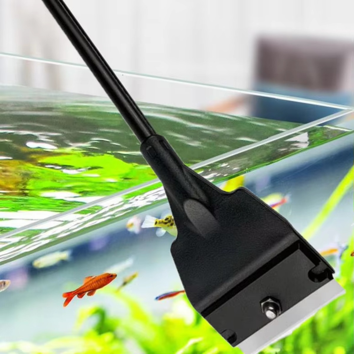 Raspador de algas para pecera, - Planted Aquarium With Sand reseña y precio