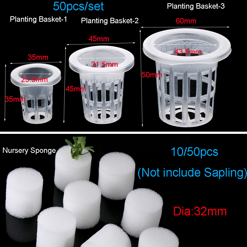 Suministros de jardín para pla - Aquarium Planted Seeds reseña y precio