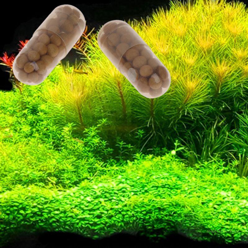 QX2E Acuario Planta viva Ferti - Aquarium Plant Root Fertilizer reseña y precio