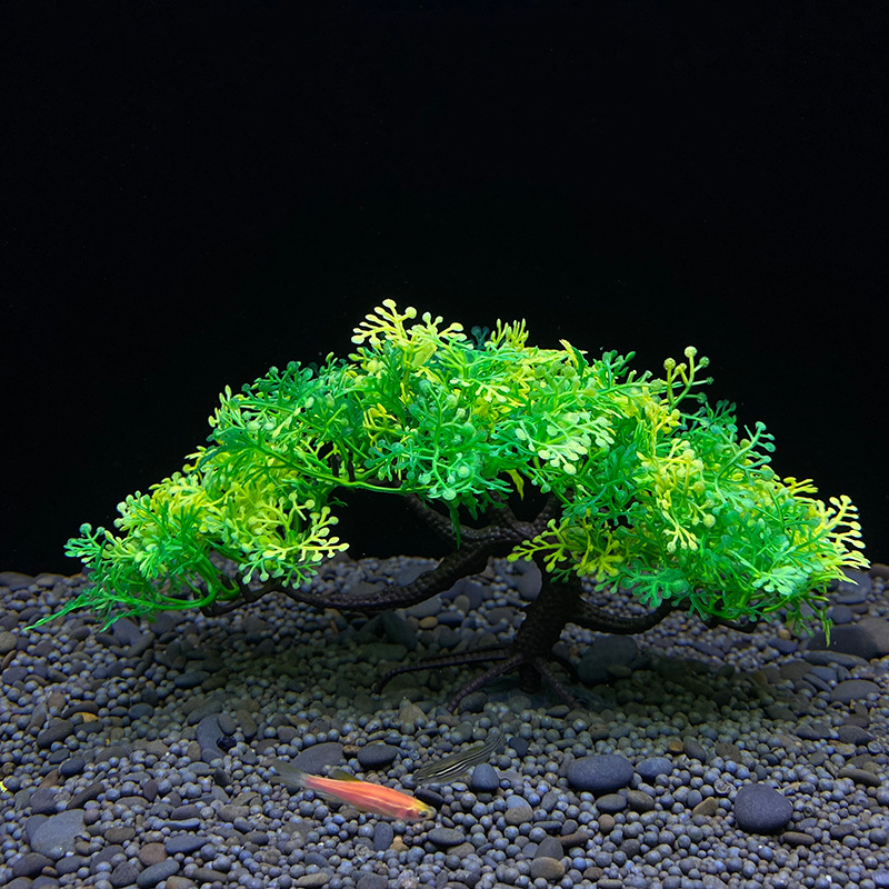 Árbol bonsái de acuario, plant - Aquarium Planted Seeds reseña y precio