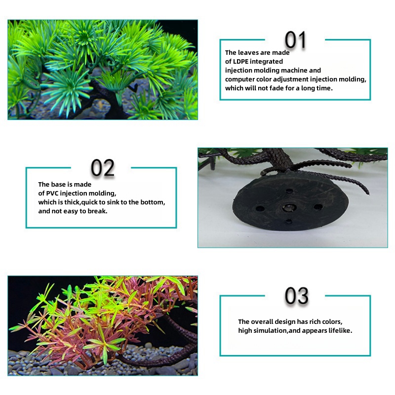 Árbol bonsái de acuario, plant - Aquarium Planted Seeds reseña y precio