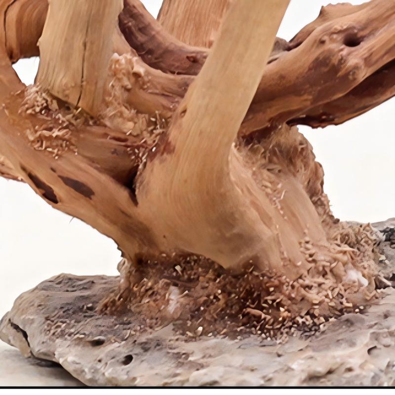 Adornos de madera para paisaji - Aquarium Planted Tree reseña y precio