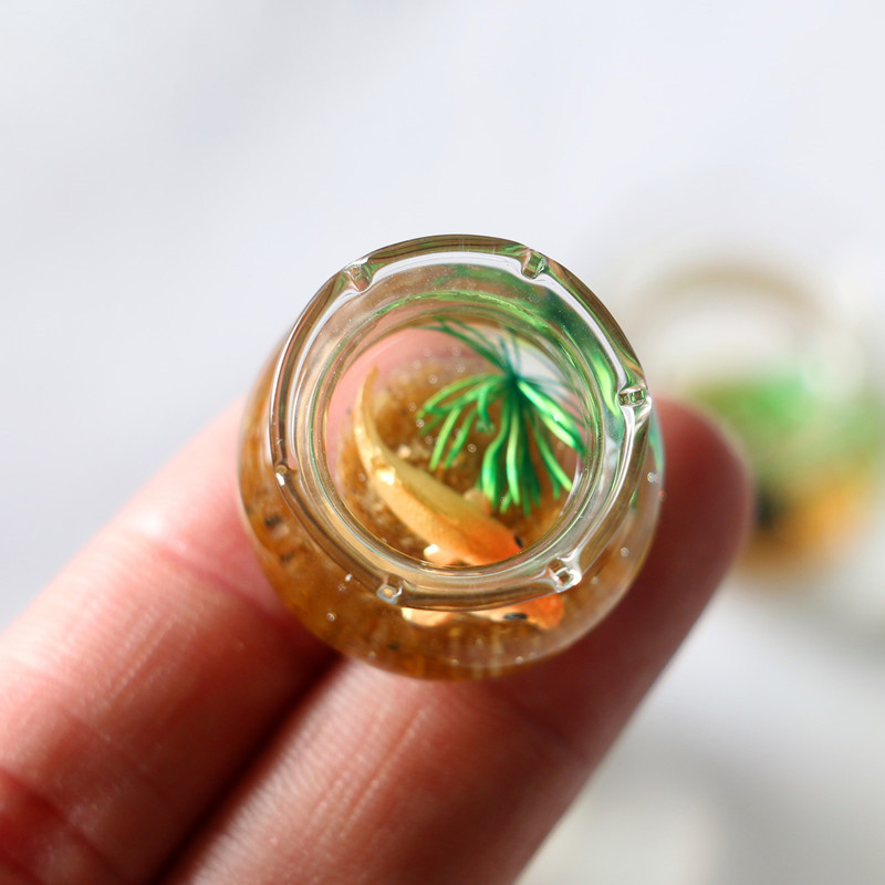 Mini casa de muñecas 1:12, sim - Planted Aquarium Models reseña y precio