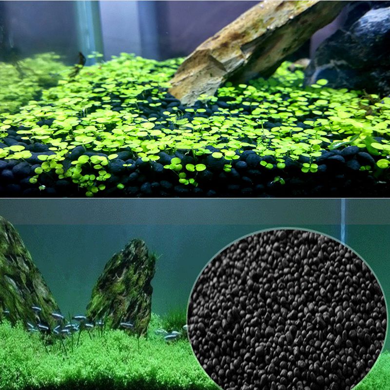 Sustrato de Auarium de arena d - Planted Aquarium With Sand reseña y precio