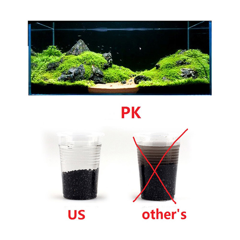 Sustrato de Auarium de arena d - Planted Aquarium With Sand reseña y precio