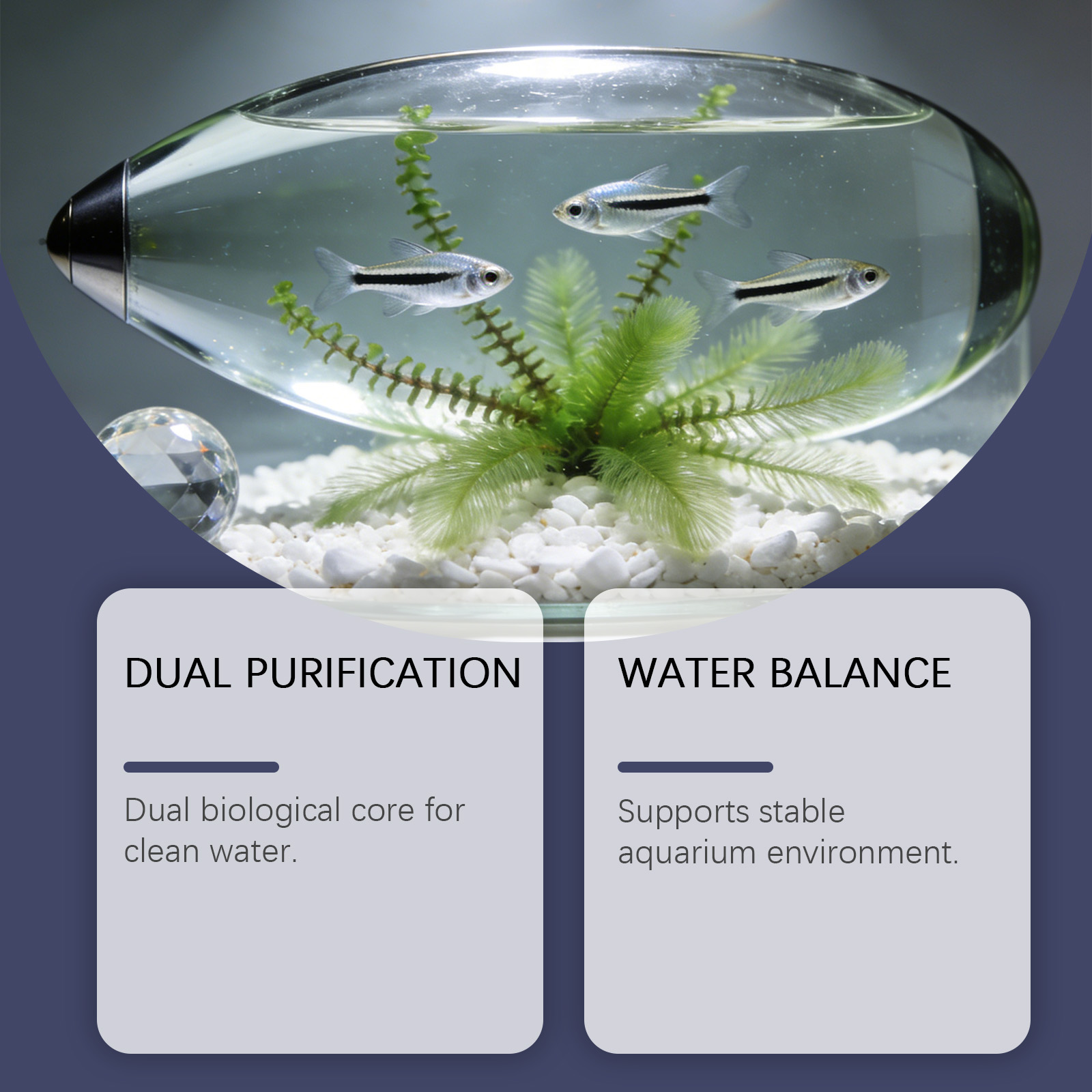 Tabletas Removedoras de Algas  - Planted Aquarium Algae Control reseña y precio