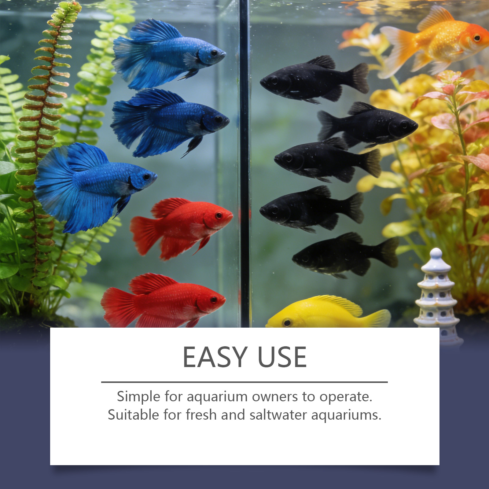 Tabletas Removedoras de Algas  - Planted Aquarium Algae Control reseña y precio