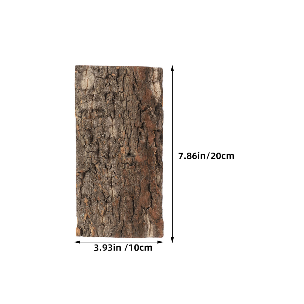 3 uds. De corteza de corcho pa - Aquarium Planted Tree reseña y precio