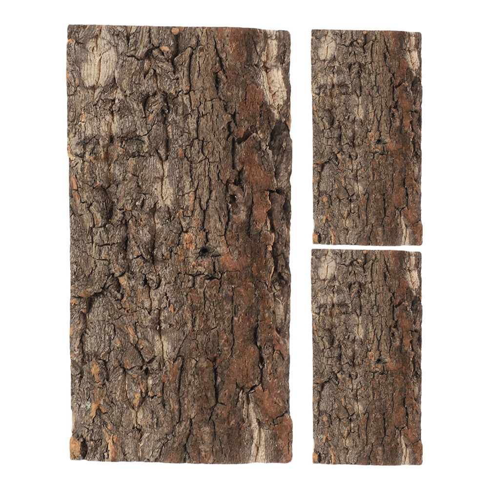 3 uds. De corteza de corcho pa - Aquarium Planted Tree reseña y precio