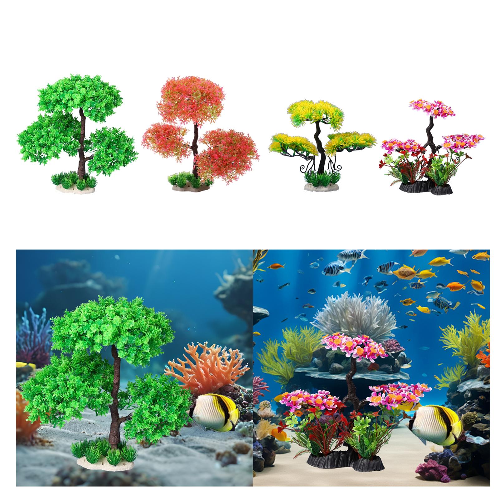 Plantas de Acuario para Agua D - Planted Aquarium Models reseña y precio