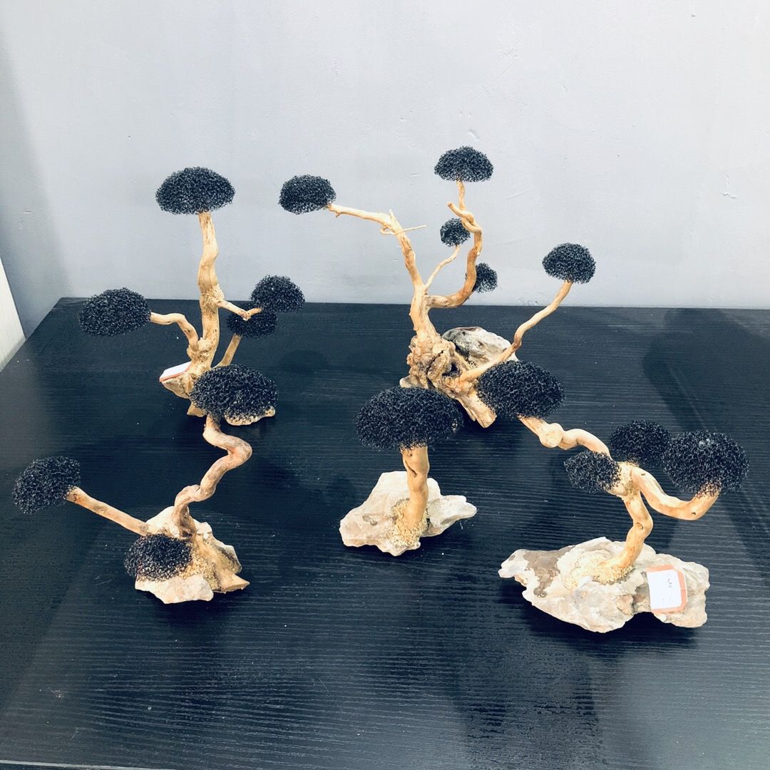 Decoración de acuario, musgo,  - Planted Aquarium With Driftwood reseña y precio