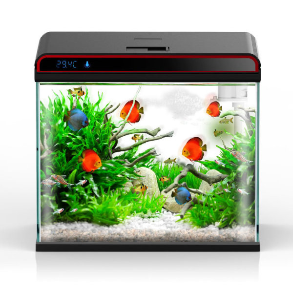 Acondicionador de agua para ac - Planted Aquarium Algae Control reseña y precio