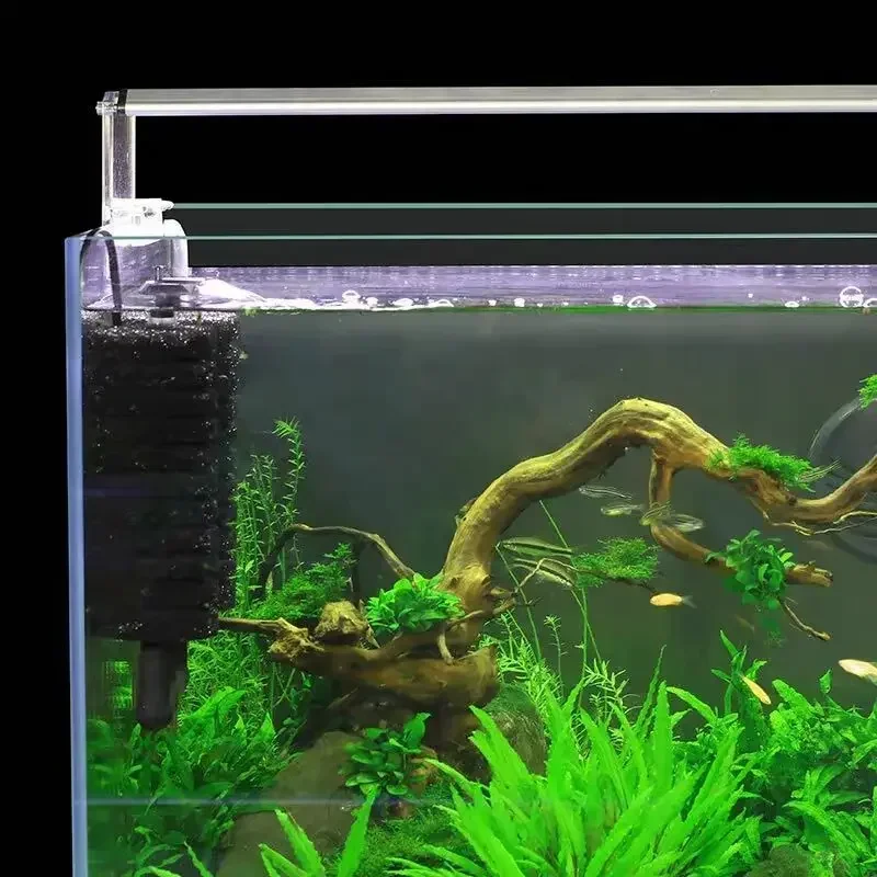 Filtro de energía eléctrica co - Aquarium Planted Filter reseña y precio