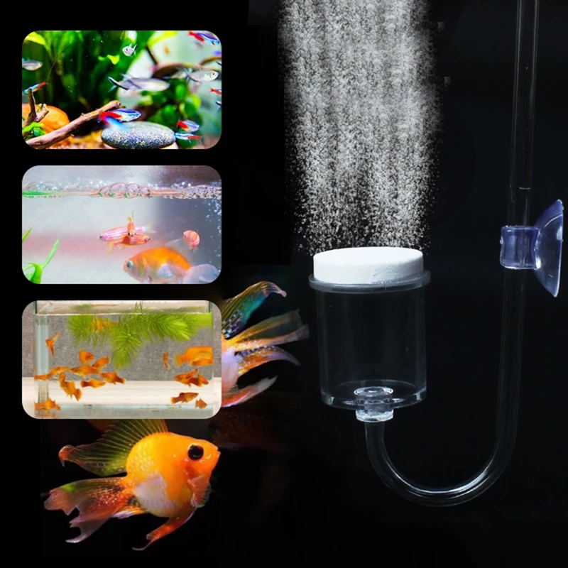 Juego de 4 piezas de difusor d - Aquarium Plant Growing reseña y precio