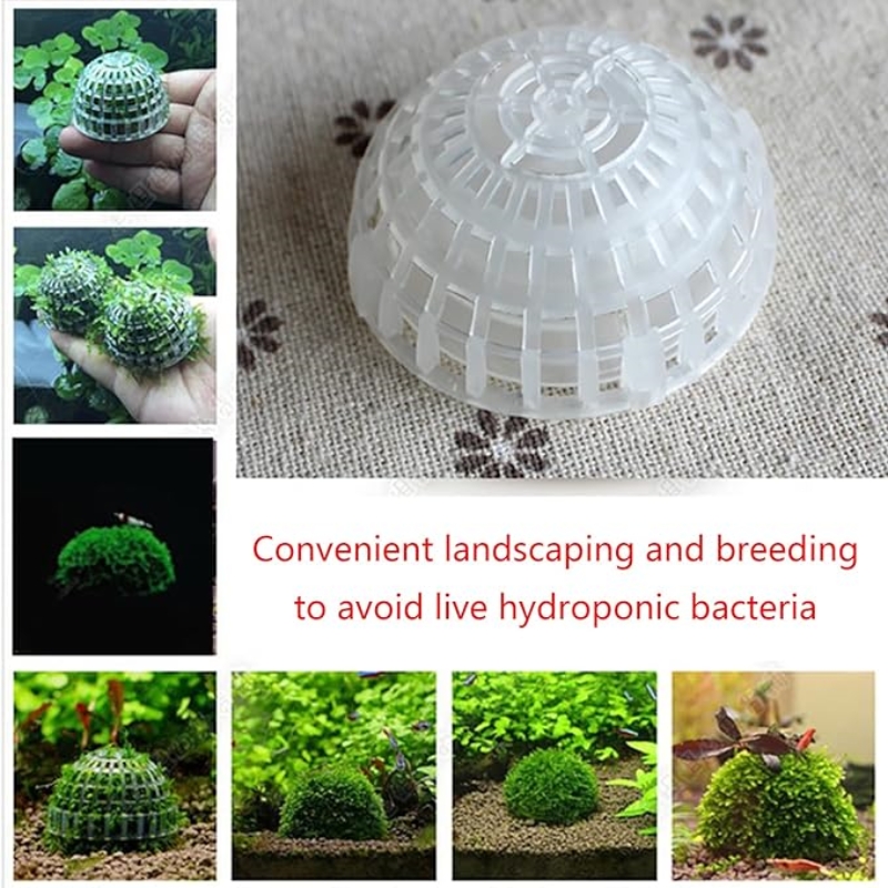 Soporte de bola de musgo para  - Planted Aquarium Models reseña y precio