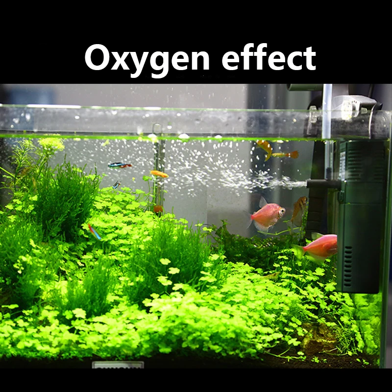 SUNSUN-bomba sumergible de oxí - Aquarium Planted Filter reseña y precio